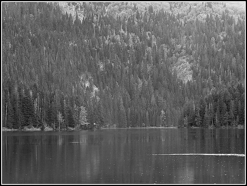 Иллюстрация к книге — Придет серенький волчок [_16.webp]