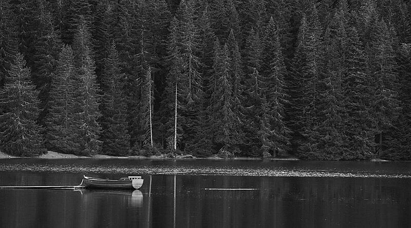 Иллюстрация к книге — Придет серенький волчок [_3.webp]