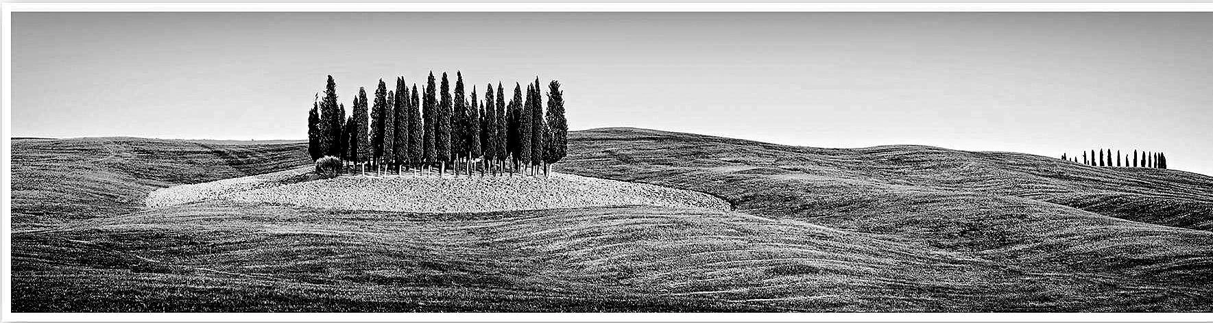 Иллюстрация к книге — Убийство, вино и Ренессанс [i_001.webp]