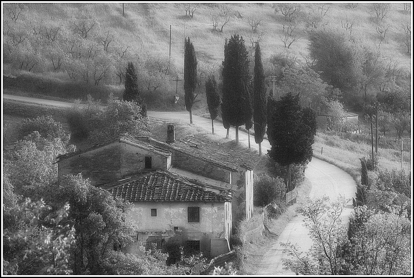 Иллюстрация к книге — Убийство, вино и Ренессанс [i_002.webp]