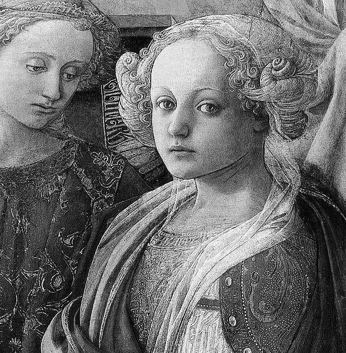 Иллюстрация к книге — Убийство, вино и Ренессанс [i_005.webp]