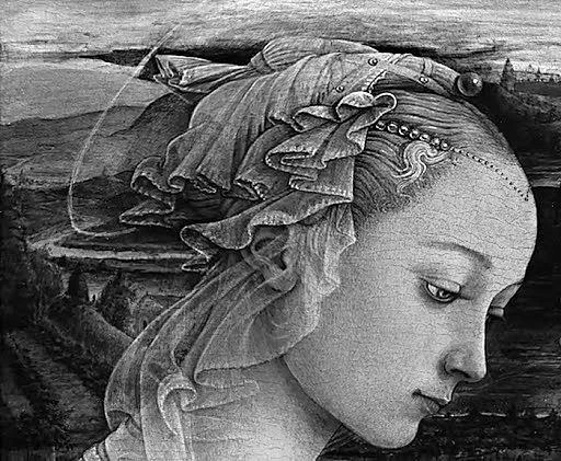 Иллюстрация к книге — Убийство, вино и Ренессанс [i_008.webp]