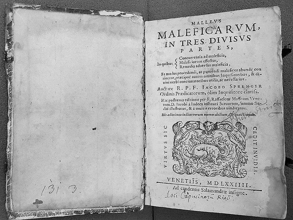 Иллюстрация к книге — Тайна тосканской ведьмы [i_006.webp]