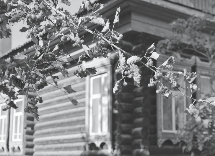 Иллюстрация к книге — Потаённая Россия. От блинов до ухи: путешествие за рецептами и тайнами старых городов [i_008.webp]