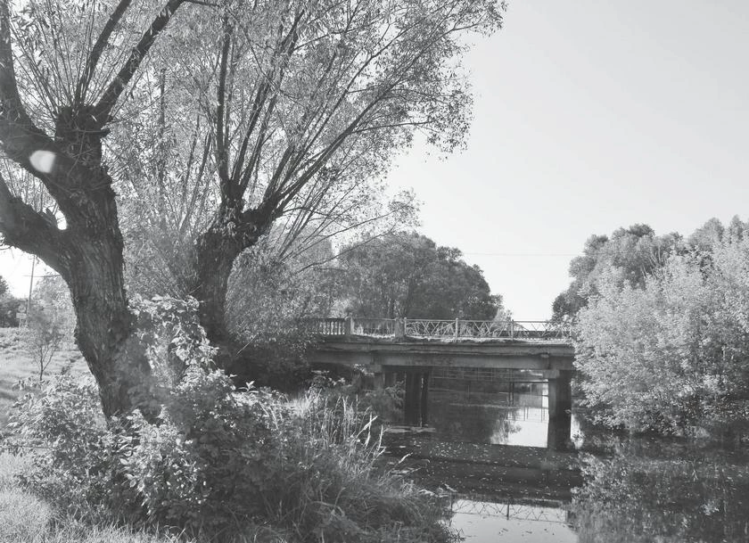 Иллюстрация к книге — Потаённая Россия. От блинов до ухи: путешествие за рецептами и тайнами старых городов [i_010.webp]