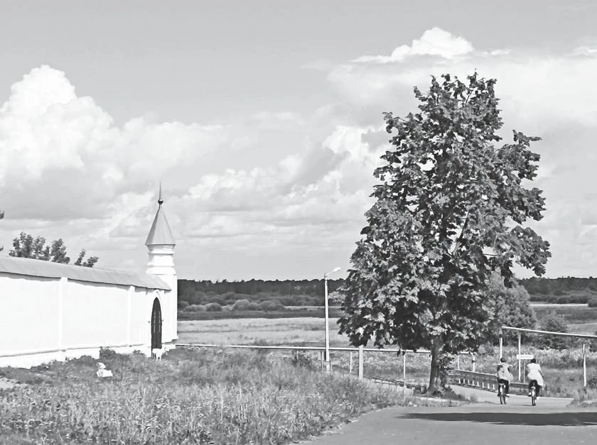 Иллюстрация к книге — Потаённая Россия. От блинов до ухи: путешествие за рецептами и тайнами старых городов [i_027.webp]