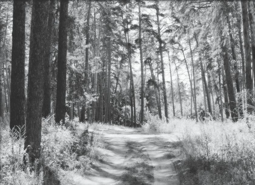 Иллюстрация к книге — Потаённая Россия. От блинов до ухи: путешествие за рецептами и тайнами старых городов [i_042.webp]