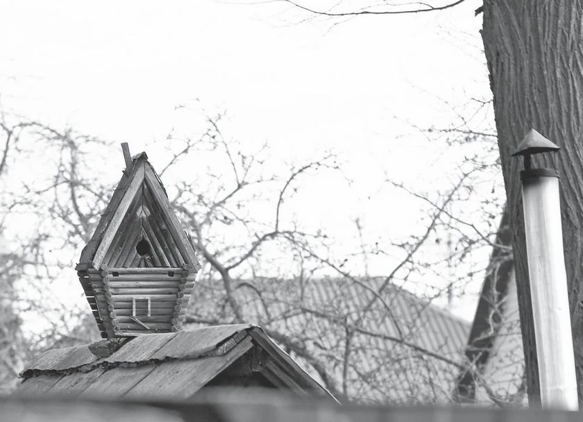 Иллюстрация к книге — Потаённая Россия. От блинов до ухи: путешествие за рецептами и тайнами старых городов [i_102.webp]