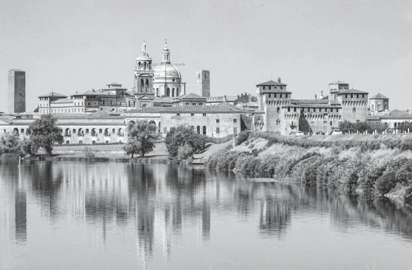 Иллюстрация к книге — Милан на вкус. Дамы, коктейли и золотое ризотто [i_017.webp]