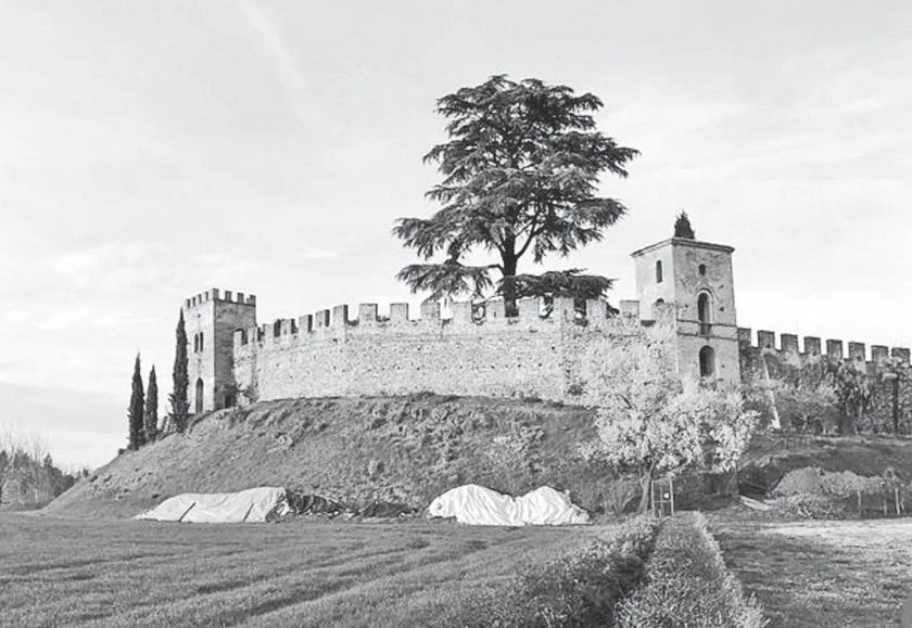 Иллюстрация к книге — Милан на вкус. Дамы, коктейли и золотое ризотто [i_023.webp]