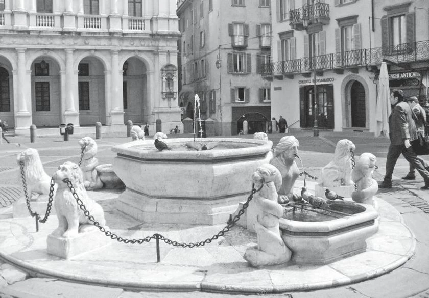 Иллюстрация к книге — Милан на вкус. Дамы, коктейли и золотое ризотто [i_058.webp]