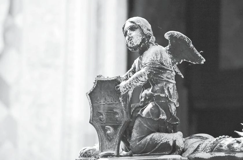 Иллюстрация к книге — Милан на вкус. Дамы, коктейли и золотое ризотто [i_063.webp]