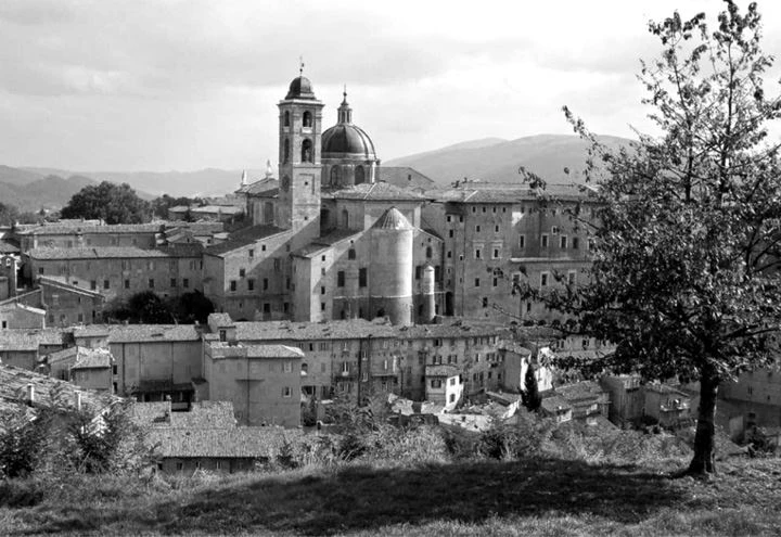 Иллюстрация к книге — Трюфельные сказки Италии. Путешествие за новыми историями и блюдами [i_005.webp]