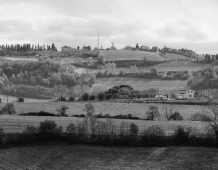 Иллюстрация к книге — Трюфельные сказки Италии. Путешествие за новыми историями и блюдами [i_007.webp]