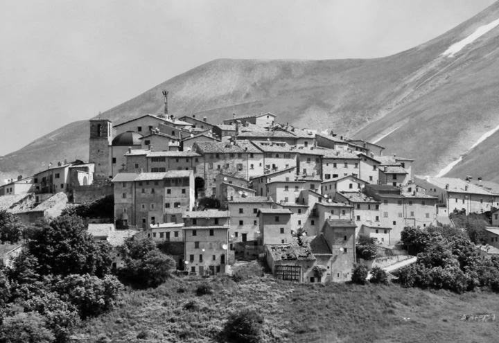 Иллюстрация к книге — Трюфельные сказки Италии. Путешествие за новыми историями и блюдами [i_019.webp]