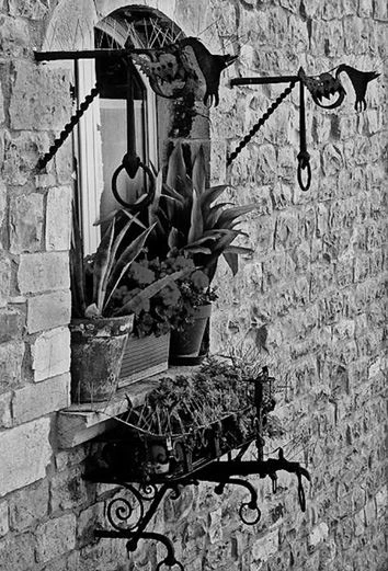 Иллюстрация к книге — Трюфельные сказки Италии. Путешествие за новыми историями и блюдами [i_020.webp]