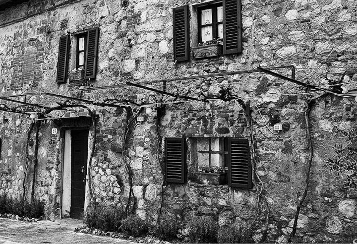 Иллюстрация к книге — Трюфельные сказки Италии. Путешествие за новыми историями и блюдами [i_022.webp]