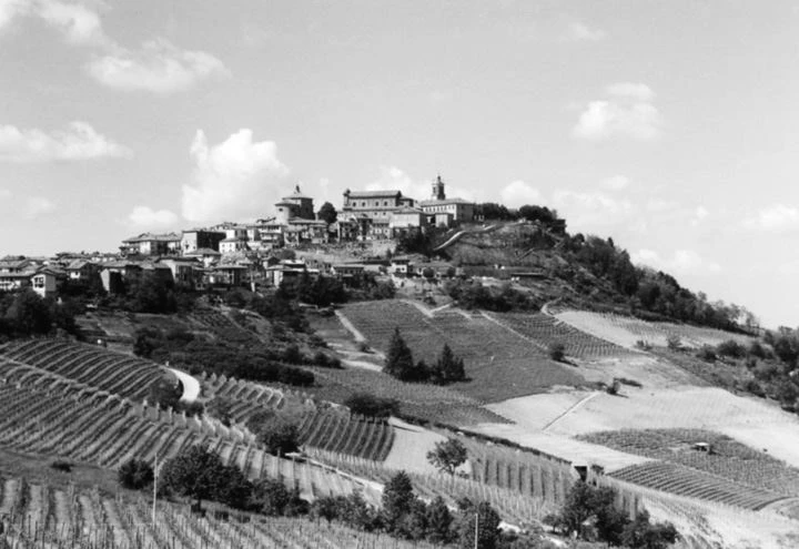 Иллюстрация к книге — Трюфельные сказки Италии. Путешествие за новыми историями и блюдами [i_028.webp]