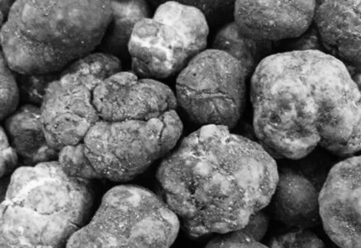 Иллюстрация к книге — Трюфельные сказки Италии. Путешествие за новыми историями и блюдами [i_030.webp]