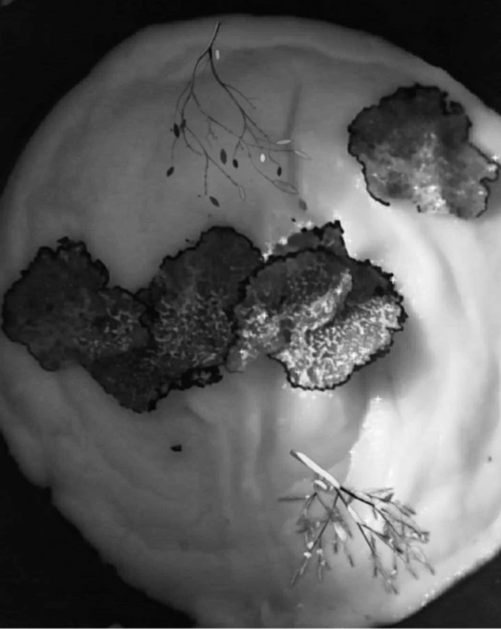 Иллюстрация к книге — Трюфельные сказки Италии. Путешествие за новыми историями и блюдами [i_031.webp]