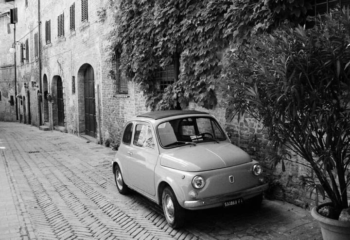 Иллюстрация к книге — Трюфельные сказки Италии. Путешествие за новыми историями и блюдами [i_045.webp]