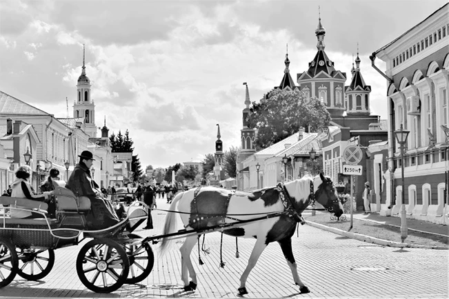 Иллюстрация к книге — Странствия по рецептам мира. Сделаем все быстро, просто и вкусно! [i_005.webp]