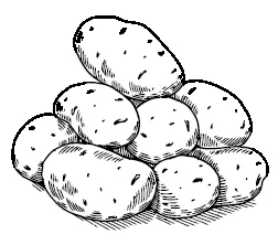 Иллюстрация к книге — Странствия по рецептам мира. Сделаем все быстро, просто и вкусно! [i_007.webp]