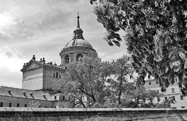 Иллюстрация к книге — Странствия по рецептам мира. Сделаем все быстро, просто и вкусно! [i_017.webp]