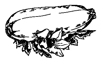 Иллюстрация к книге — Странствия по рецептам мира. Сделаем все быстро, просто и вкусно! [i_019.webp]