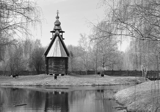 Иллюстрация к книге — Странствия по рецептам мира. Сделаем все быстро, просто и вкусно! [i_054.webp]