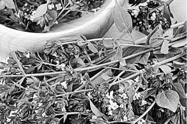 Иллюстрация к книге — Странствия по рецептам мира. Сделаем все быстро, просто и вкусно! [i_077.webp]