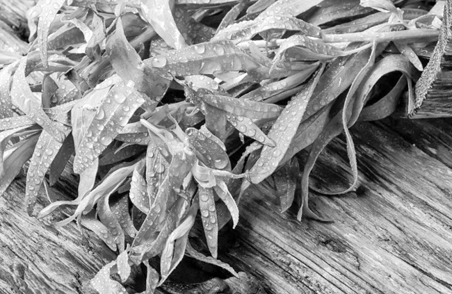 Иллюстрация к книге — Странствия по рецептам мира. Сделаем все быстро, просто и вкусно! [i_078.webp]