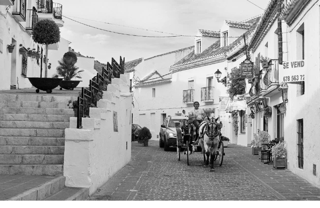 Иллюстрация к книге — Странствия по рецептам мира. Сделаем все быстро, просто и вкусно! [i_091.webp]