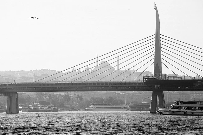 Иллюстрация к книге — Странствия по рецептам мира. Сделаем все быстро, просто и вкусно! [i_103.webp]