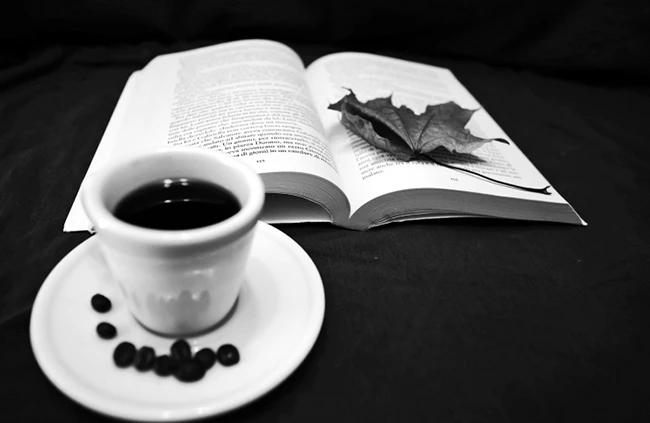 Иллюстрация к книге — Странствия по рецептам мира. Сделаем все быстро, просто и вкусно! [i_107.webp]