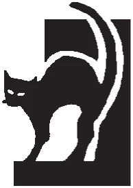 Иллюстрация к книге — Шаг сквозь стену [i_001.webp]