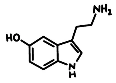 Иллюстрация к книге — Любовь пахнет понедельником [i_001.webp]