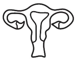 Иллюстрация к книге — Любовь пахнет понедельником [i_015.webp]