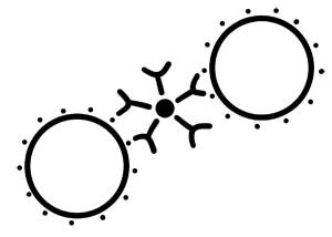 Иллюстрация к книге — По страницам четверга [i_012.webp]