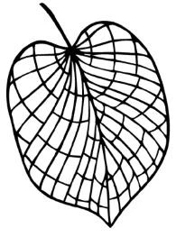 Иллюстрация к книге — Осенняя коллекция детектива [i_004.webp]