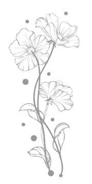 Иллюстрация к книге — Детектив на краю лета [i_002.webp]