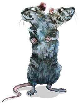 Иллюстрация к книге — Безумие памяти [i_025.webp]