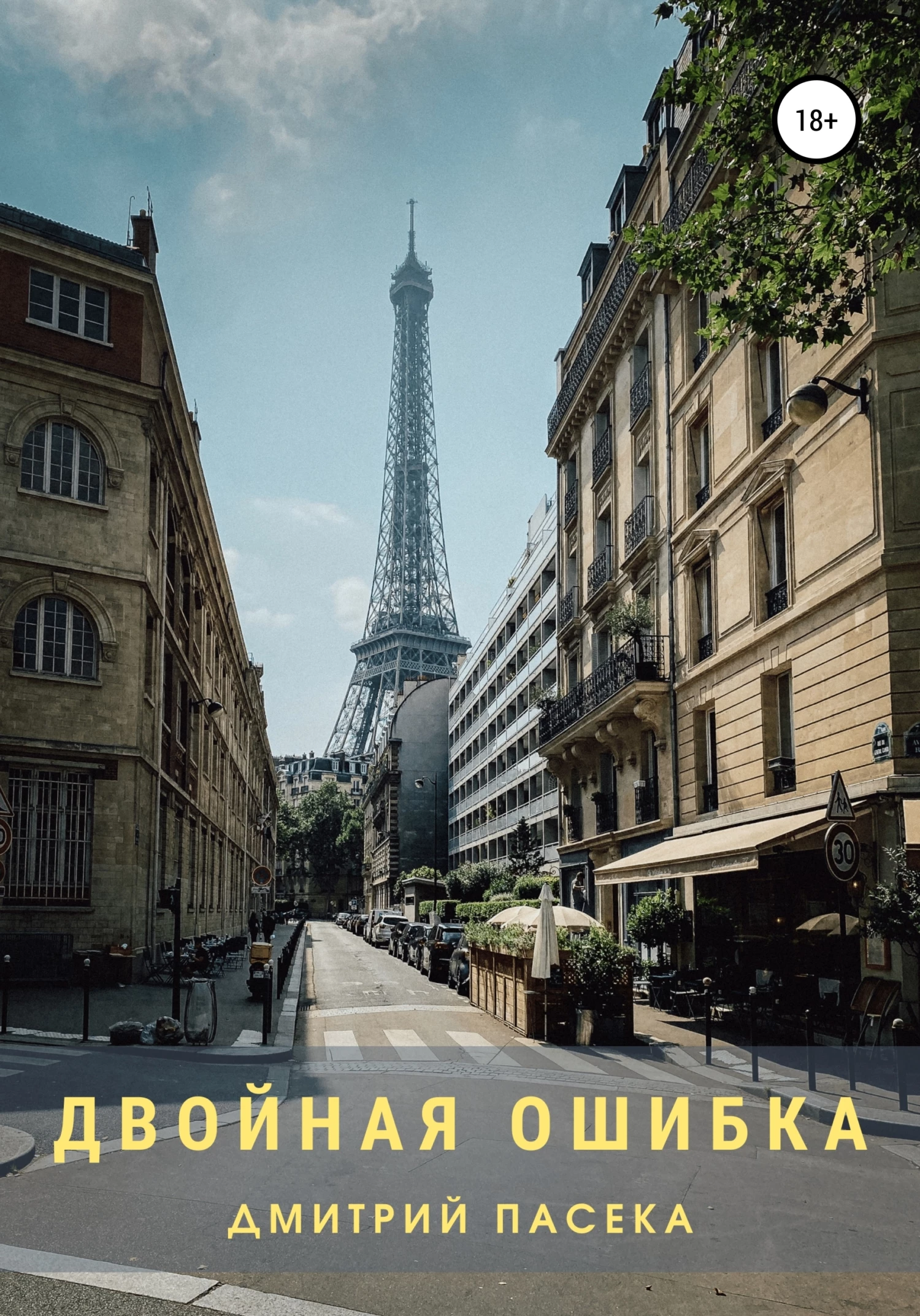 Книга Двойная ошибка