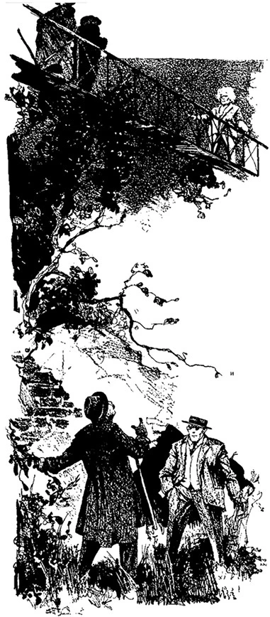 Иллюстрация к книге — Смерть на жемчужной ферме [i_014.webp]