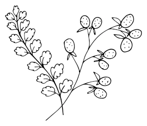 Иллюстрация к книге — Девушка из Монтаны [i_001.webp]