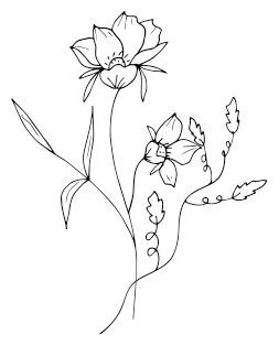 Иллюстрация к книге — Девушка из Монтаны [i_003.webp]