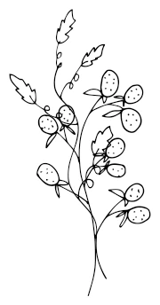 Иллюстрация к книге — Девушка из Монтаны [i_013.webp]