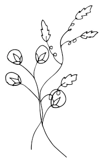 Иллюстрация к книге — Девушка из Монтаны [i_016.webp]