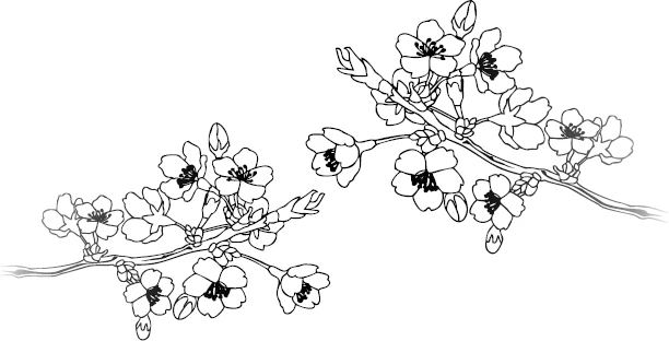 Иллюстрация к книге — Запрет на браки в Чосоне. Том 1 [i_003.webp]