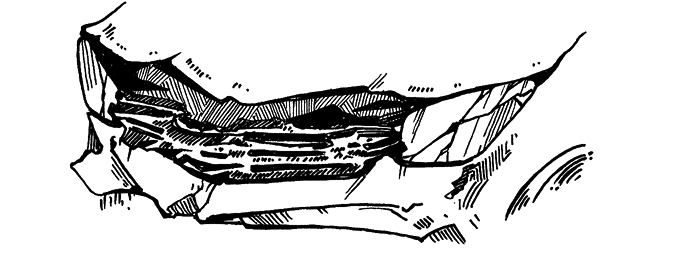 Иллюстрация к книге — Макбет [i_005.webp]